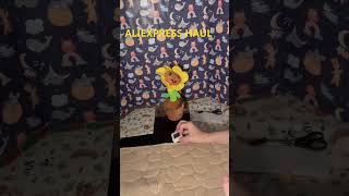 ALIEXPRESS HAUL #ytshorts #aliexpresshaul #aliexpressfinds #aliexpressnewgadgets