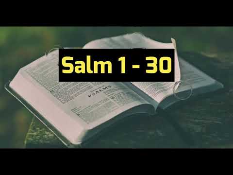 Lai Bible (Hakha) || Salm 1 - 30