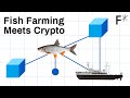 Why Indonesian fishers now have crypto wallets