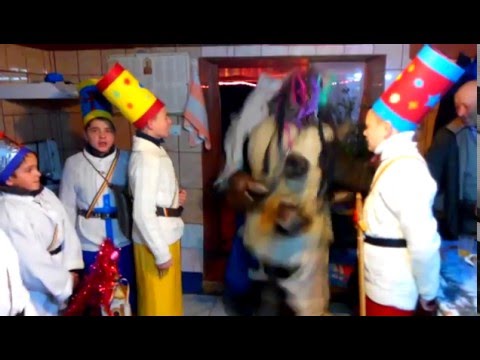 Viflaimul Handal 2015