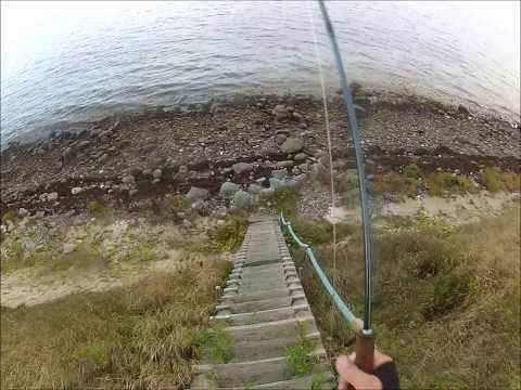 Fly Fishing for The Danish Seatrout