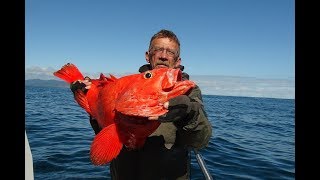 Где ловят морского окуня в россии