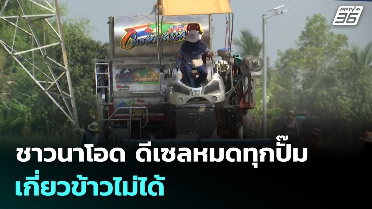 ชาวนาโอด ดีเซลหมดทุกปั๊มเกี่ยวข้าวไม่ได้ | เที่ยง?