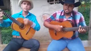 Download lagu JUNIOR VIOLEIRO E FERNANDO VIOLA - ESTRADA DO SUCESSO mp3