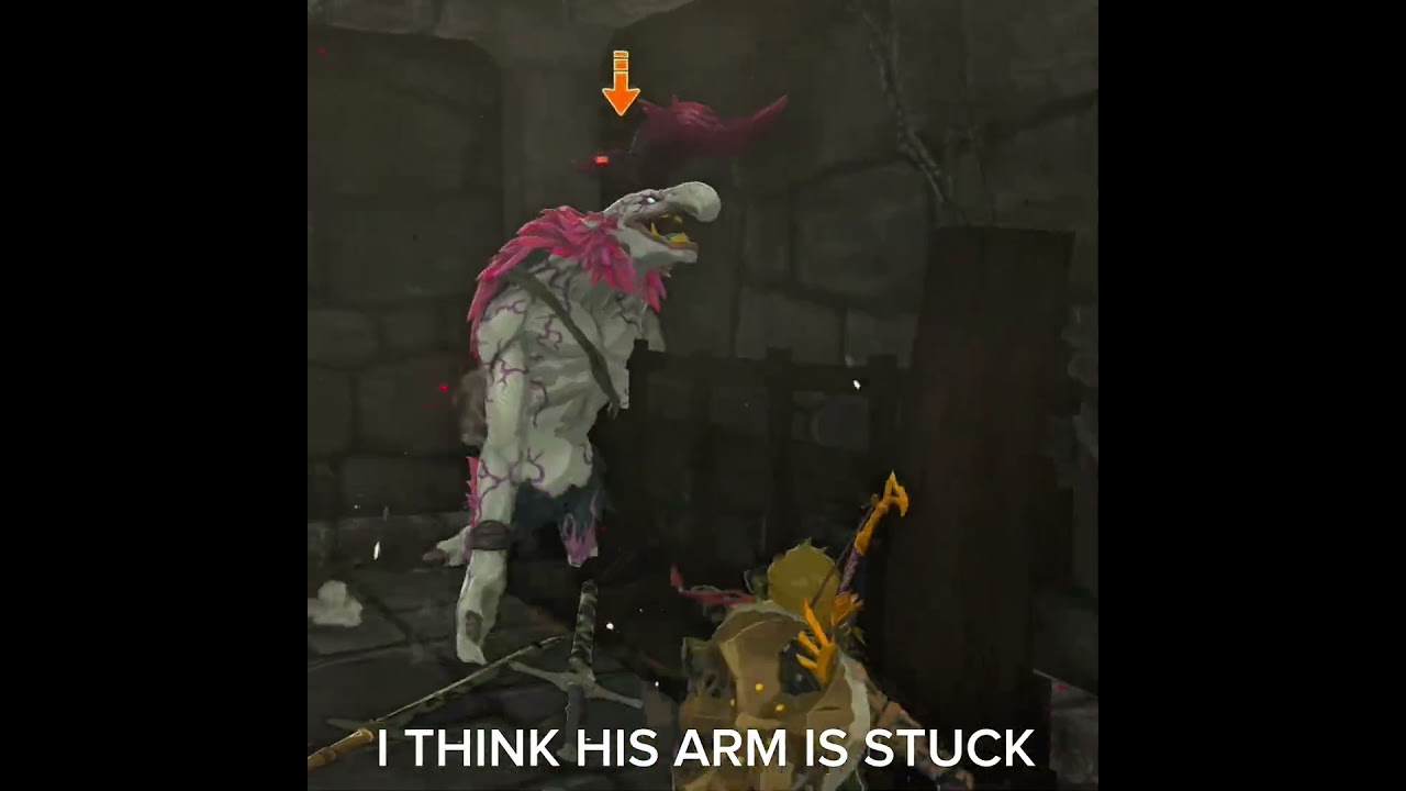 I think his arm is stuck #zelda #totk #botw #nintendo #gaming #nintendoswitch #nintendoswitch2