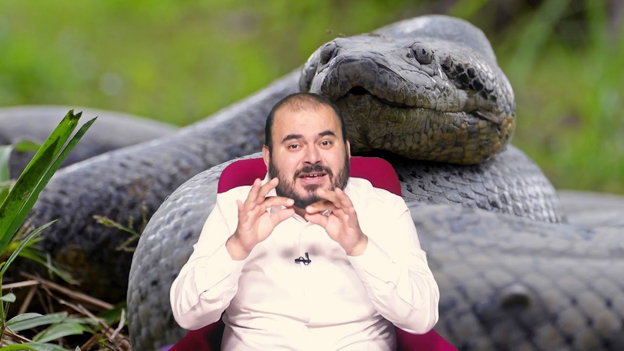 Rüyada Büyük yılan görmek nedir Rüya Tabiri Rüyada Büyük Yılan görmek ne anlama gelir Hüseyin duru