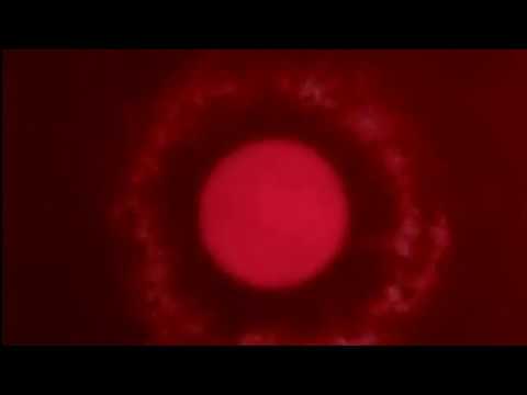 Folke Nikanor - Saliga äro de renhjärtade (Official Video)