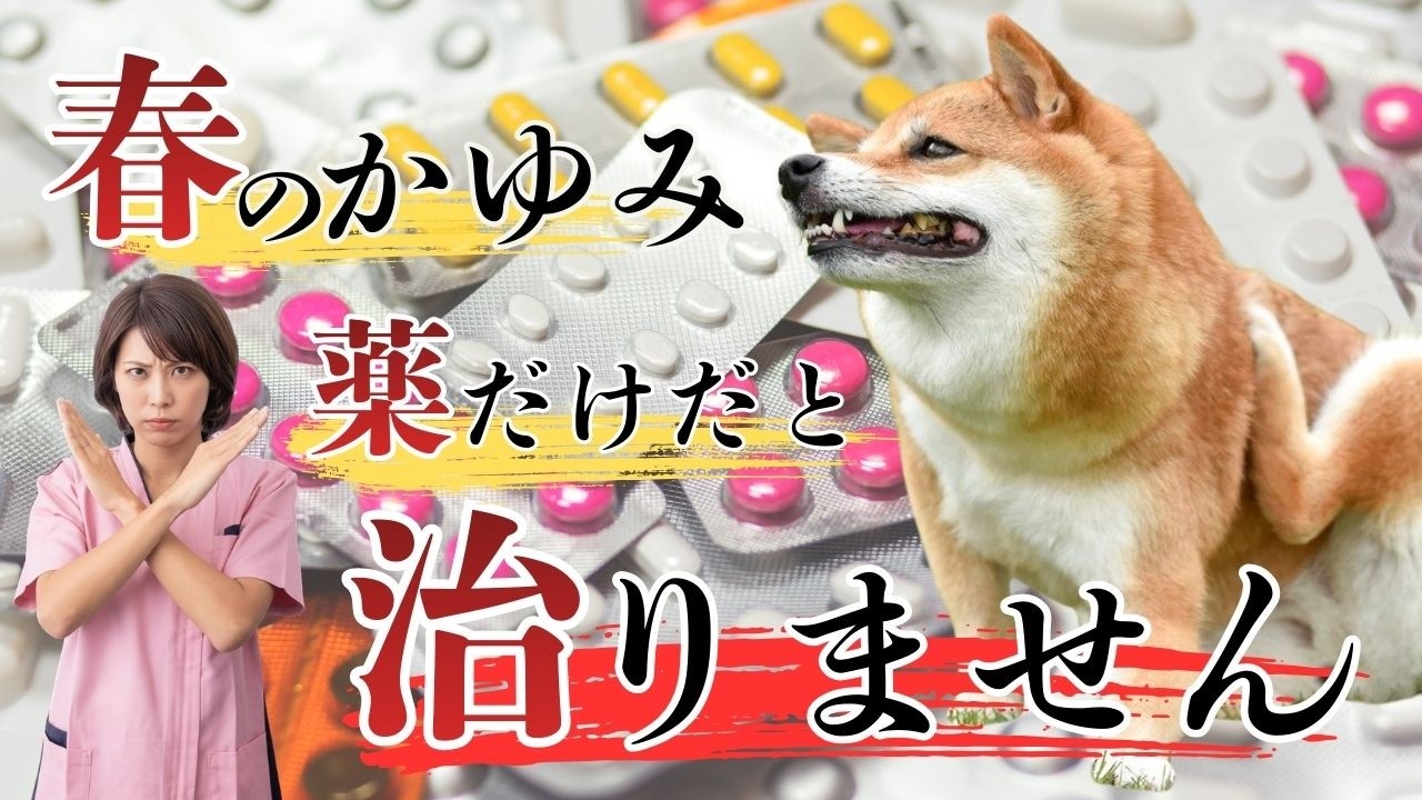 春のかゆみ、薬だけだと治りません。