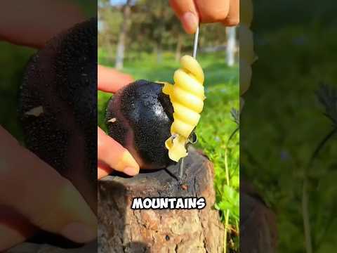 Top 5 Rare Fruits You’ve Never Seen (With Insane Health Benefits)