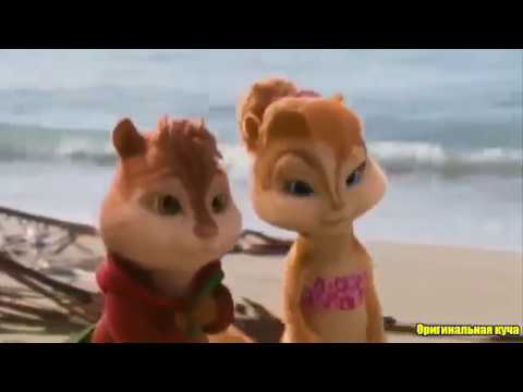 Chipmunks Papito Chocolata