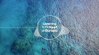 Corcopa Project : Listening to the Reef of Europa