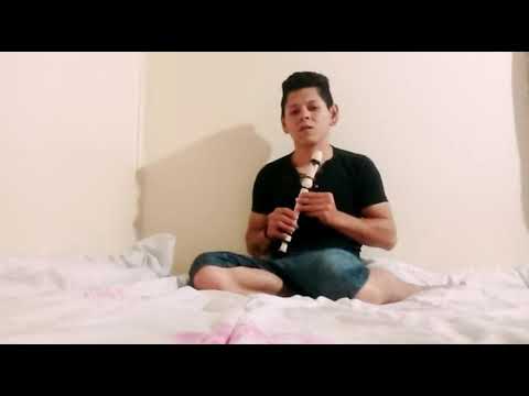 Wrecking Ball Miley Cyrus flauta cover