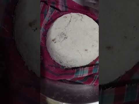 vapa pitha😋😋😋 Bangladeshi traditional winter season cake! 😋🇧🇩  #song #testy #cake #lovecake #winter