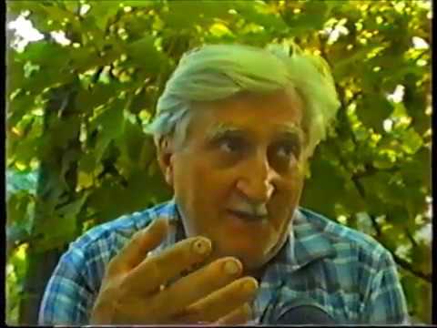 Ion Gavrilă Ogoranu: relatarea diversiunii securiştilor din Valea Zârnei