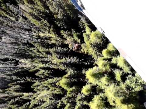 Štrbské pleso mostík K-120 bungeejumping