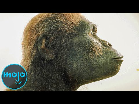 十大人類祖先 (Top 10 Human Ancestors)