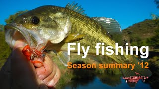 Resumen temporada 2012