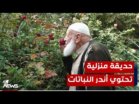 شاهد بالفيديو.. حافظ عليها من دمار الحرب.. مسن أنباري يحول منزله إلى حديقة تحتوي أندر النباتات والأزهار | تقرير