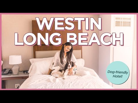 Our Brutally Honest Review of The Westin Long Beach Dog-Friendly Hotel