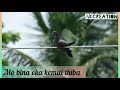 Megha Re Megha Odia Evergreen Song Whatsapp Status Ak Creation