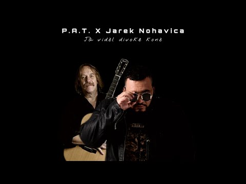 P.A.T. ft. JAROMÍR NOHAVICA - Já viděl divoké koně (prod. P.A.T.) |Lyric video|