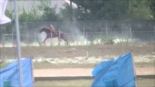 preview picture of video 'Pacuan Kuda Waingapu,Sumba Timur,NTT (Horse Racing 1800M)'