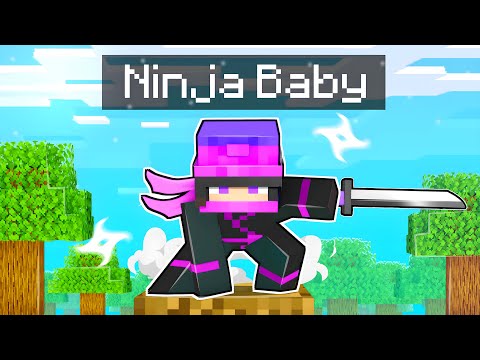 NY Gamer  - BIRTH To DEATH of a NINJA In Minecraft!