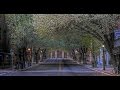 Me And The Other Guy - 15 minutes [OST Love the ...