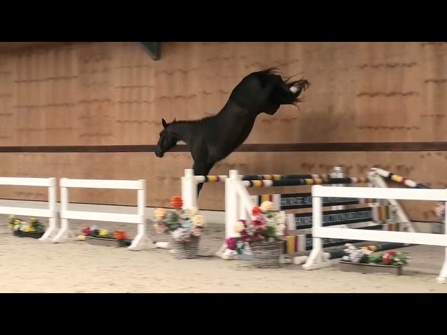 Jumping