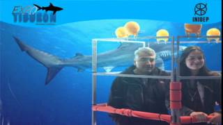 DIA 2 Expo Tiburon253