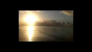 The 3 Last Human Words - Magnolia Electric Company - Com Legendas PT-BR