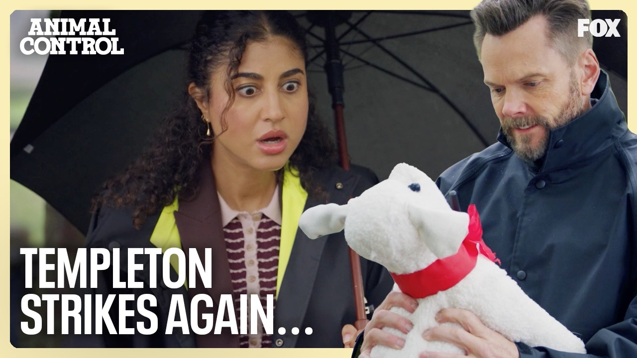 Frank & Emily Have 24 Hours To Take Down Templeton… OR ELSE! | Animal Control