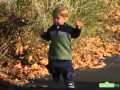 Sesame Street Hoots Sings Baby You Re So Smart