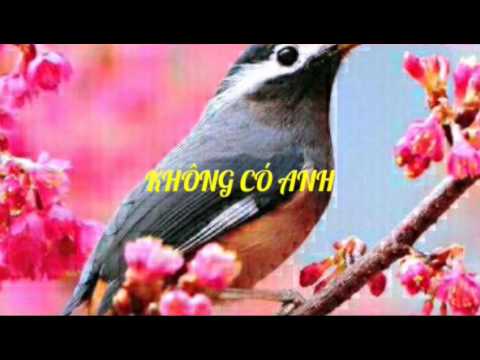 Không có anh - Mộng Thi