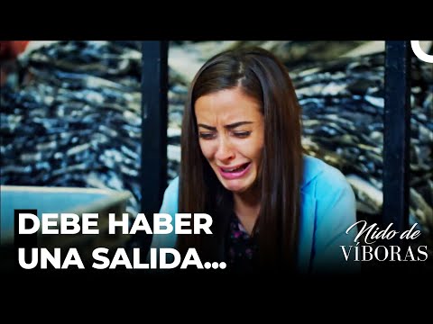 No Hay Escapatoria De Los Chismes - Nido De Víboras Capitulo 26 (Dobladas en Español)