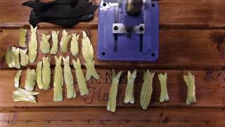 Fast crafting | Golden wings