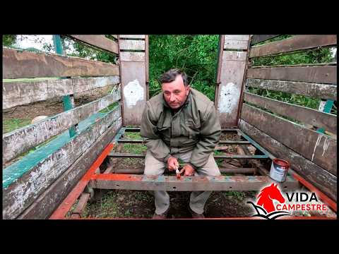 I bought a bull, but when we went to pick it up, our car broke down.