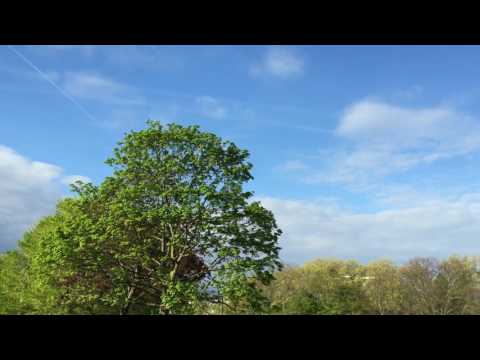 Je dicker der Bizeps, desto höher der Wurf..