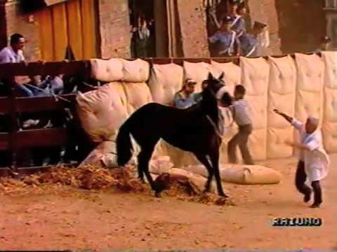 Palio 16 agosto 1988