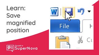 Learn SuperNova: Save and Restore Magnified Position