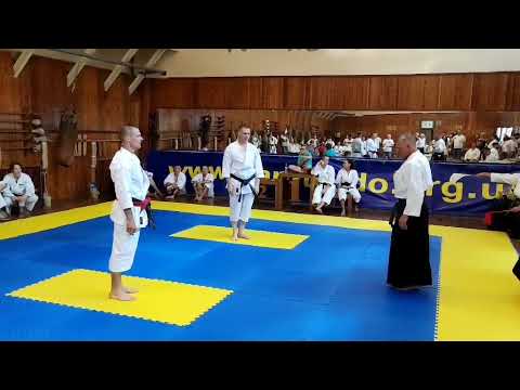 Ippon. Traditional Karate. WTKF. 2021