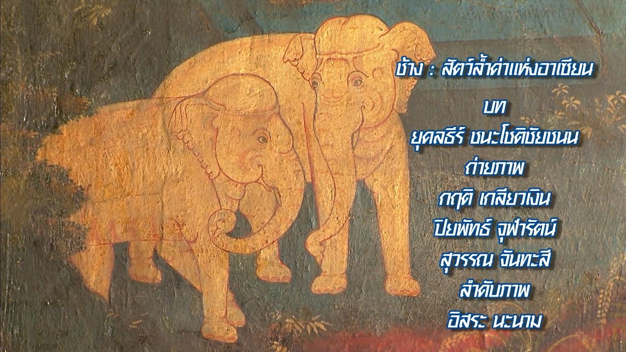 กระจกหกด้าน | ตอนช้าง : สัตว์ล้ำค่าแห่งอาเซียน | 12 ส.ค.