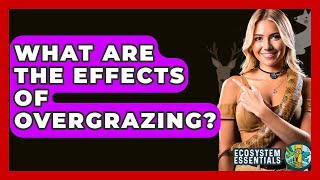 What Are The Effects Of Overgrazing? - Ecosystem Essentials