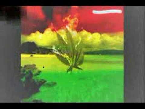 Josecob7’s Video 104854379393 WK9-jjx3IsM