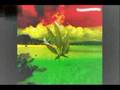 Zona ganjah- guerrero de jah! 