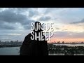 SUNSET - Tara 