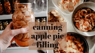 HOW TO CAN APPLE PIE FILLING | Water Bath Canning Apple Pie Filling Recipe | Easy DIY Tutorial