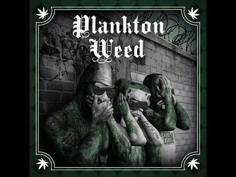 Video thumbnail for Planktonweed (Instrumental)
