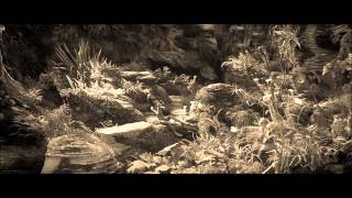 Julian Casablancas + The Voidz - Father Electricity Music Video (The Dark Crystal)