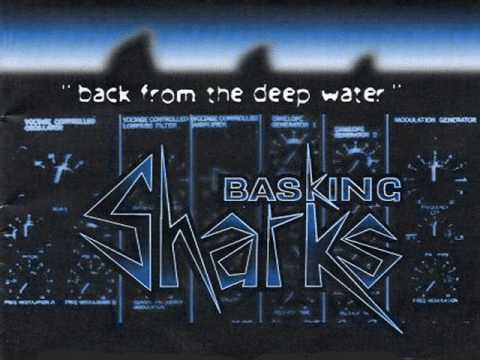 Basking Sharks - Croatia
